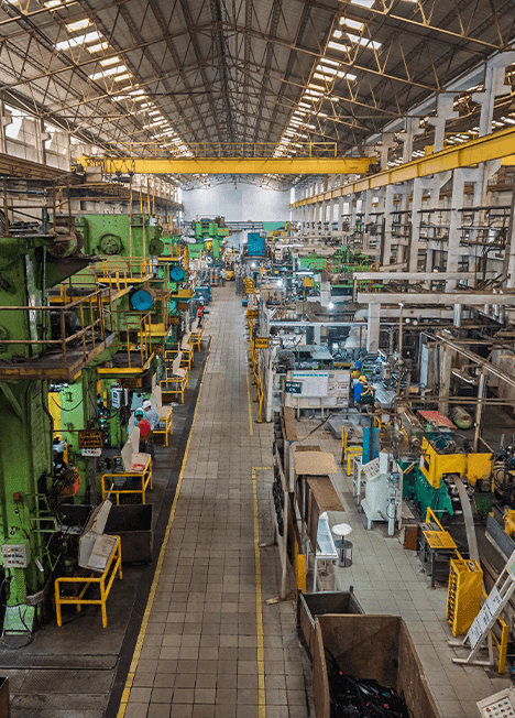 Inside the Plant